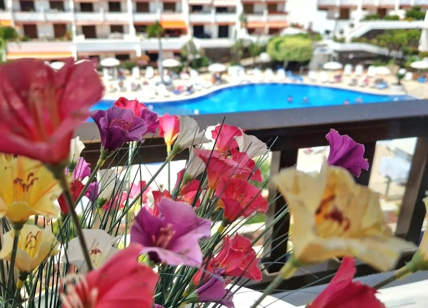 Apartment Parque Santiago 1 F-348 By Tenerife Dream Properties Playa de las Americas